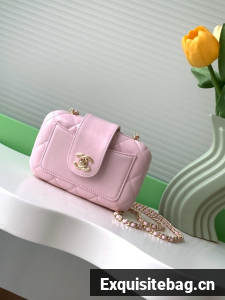 CHANEL MINI CAMERA CASE AS5178 pink