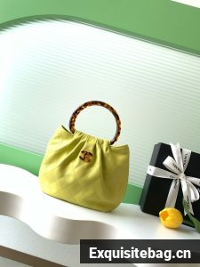 CHANEL Small Hobo Bag AS6022 green