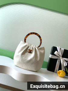CHANEL Small Hobo Bag AS6022 white