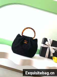 CHANEL Suede Small Hobo Bag AS6022 black