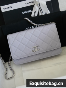 CHANEL Wallet On Chain AP3723 gray