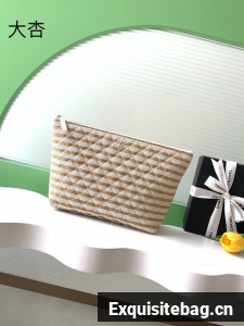 CHANEL Zipped Case AS4988 Dark Beige