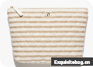 CHANEL Zipped Case AS4989 Dark Beige