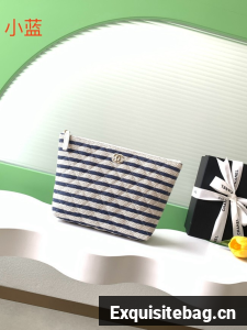 CHANEL Zipped Case AS4989 dark blue