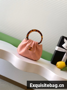 CHANEL mini Hobo Bag AS4981 pink