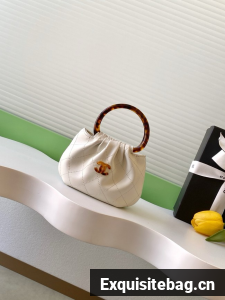 CHANEL mini Hobo Bag AS4981 white