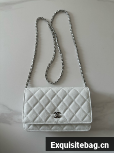 Chanel Classic Wallet On Chain Grained Calfskin AP4241-16