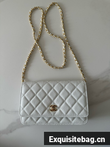 Chanel Classic Wallet On Chain Grained Calfskin AP4241-17