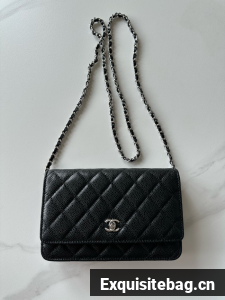 Chanel Classic Wallet On Chain Grained Calfskin AP4241-20