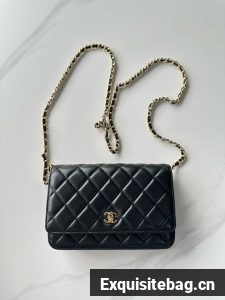 Chanel Classic Wallet On Chain Lambskin AP4241-1