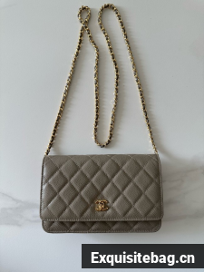 Chanel Classic Wallet On Chain Grained Calfskin AP4241-13