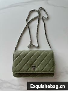 Chanel Classic Wallet On Chain Grained Calfskin AP4241-2