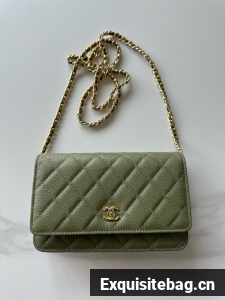 Chanel Classic Wallet On Chain Grained Calfskin AP4241-3