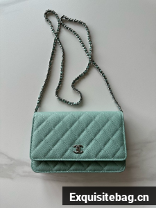 Chanel Classic Wallet On Chain Grained Calfskin AP4241-4
