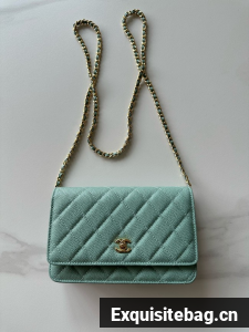 Chanel Classic Wallet On Chain Grained Calfskin AP4241-5