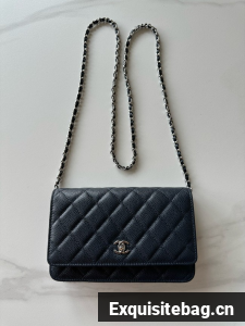 Chanel Classic Wallet On Chain Grained Calfskin AP4241-6