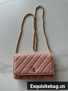 Chanel Classic Wallet On Chain Grained Calfskin AP4241-9