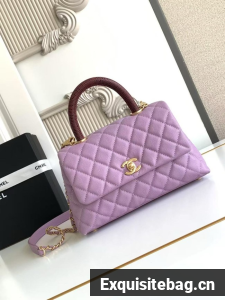 Chanel FLAP BAG WITH TOP HANDLE 92990-13