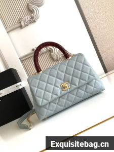 Chanel FLAP BAG WITH TOP HANDLE 92990-5