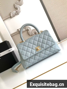 Chanel FLAP BAG WITH TOP HANDLE 92990-6