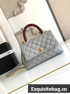 Chanel FLAP BAG WITH TOP HANDLE 92990-9