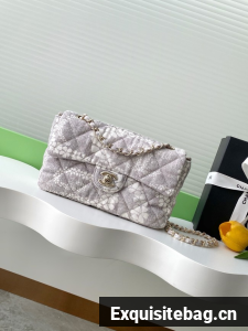 Chanel Flap Bag AS5454 gray & White