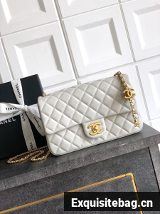 Chanel Flap Bag AS5756 Light Grey