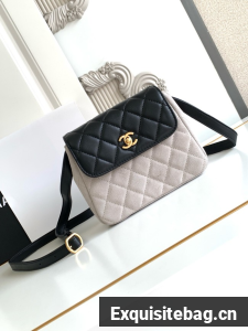 Chanel MINI FLAP BAG AS4679 GRAY