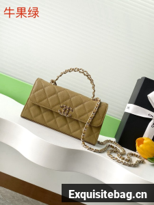 Chanel MINI FLAP BAG CLUTCH WITH CHAIN Gold-Tone Metal AP3238 Khaki
