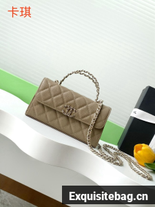 Chanel MINI FLAP BAG CLUTCH WITH CHAIN Gold-Tone Metal AP3238 gray