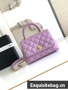 Chanel MINI FLAP BAG WITH TOP HANDLE AS2215-14