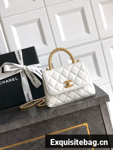 Chanel MINI FLAP BAG WITH TOP HANDLE AS2215-17