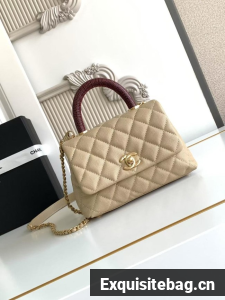 Chanel MINI FLAP BAG WITH TOP HANDLE AS2215-3