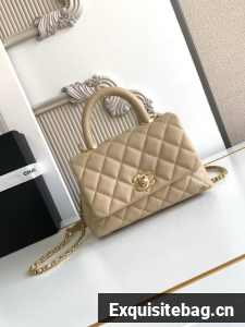 Chanel MINI FLAP BAG WITH TOP HANDLE AS2215-4