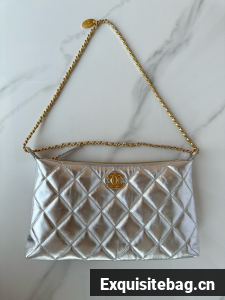 Chanel Medium HOBO BAG AS5498 Silver