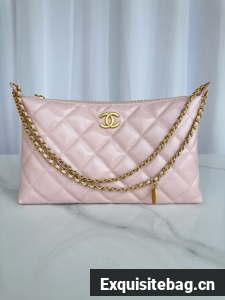 Chanel Medium HOBO BAG AS5498 pink