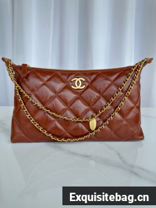 Chanel Medium HOBO BAG AS5498 red