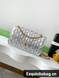 Chanel Mini flap bag AS4795 Silver