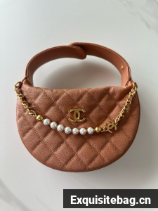 Chanel POUCH AP4584 brown