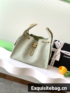 Chanel SUEDE HOBO BAG AS5293 LIGHT GREEN