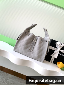 Chanel SUEDE HOBO BAG AS5293 gray