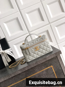 Chanel Vanity with Chain 26C Oil-tanned leather AP4936 gray
