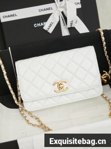 Chanel Wallet On Chain AP3938 white