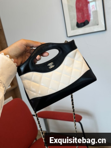 Chanel mini 31 bag AP3656 black&white