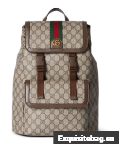 GUCCI AOPHIDIA SMALL GG BACKPACK 792114 Brown