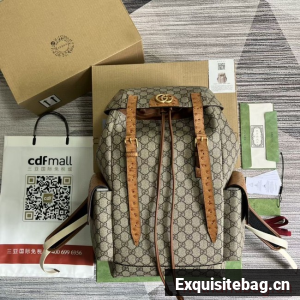 GUCCI BACKPACK WITH DOUBLE G 710859 brown