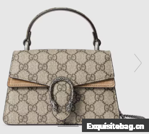 GUCCI DIONYSUS MINI TOP HANDLE BAG 752029 Beige