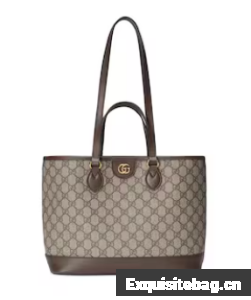 GUCCI OPHIDIA GG MINI TOTE BAG 765043 brown