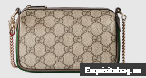 GUCCI Ophidia mini bag 838475 brown