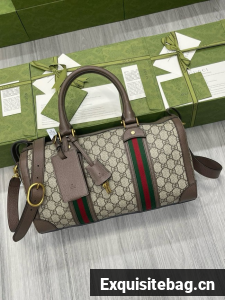 GUCCI Ophidia shoulder bag 645017 brown